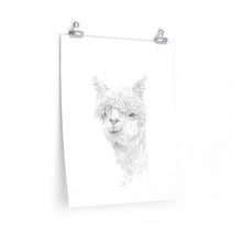 PRIYA Llama- Art Paper Print