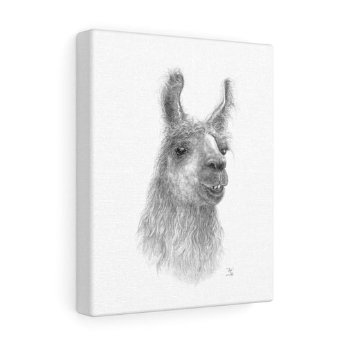 Rojo Llama- Art Canvas