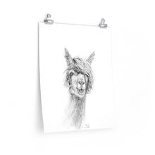 RENEE Llama- Art Paper Print