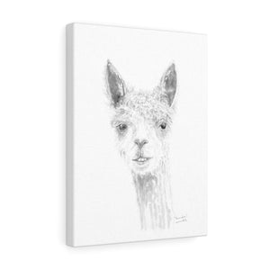 BRANDON Llama- Art Canvas