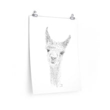 HALEY Llama- Art Paper Print