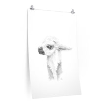 DEBI Llama- Art Paper Print