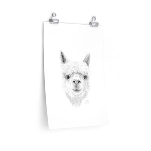 SOPHIA Llama- Art Paper Print