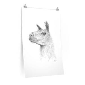 ANDREA Llama- Art Paper Print