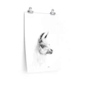 PEPPER Llama- Art Paper Print