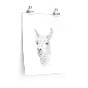 SHAUN Llama- Art Paper Print
