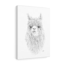 MARY Llama - Art Canvas