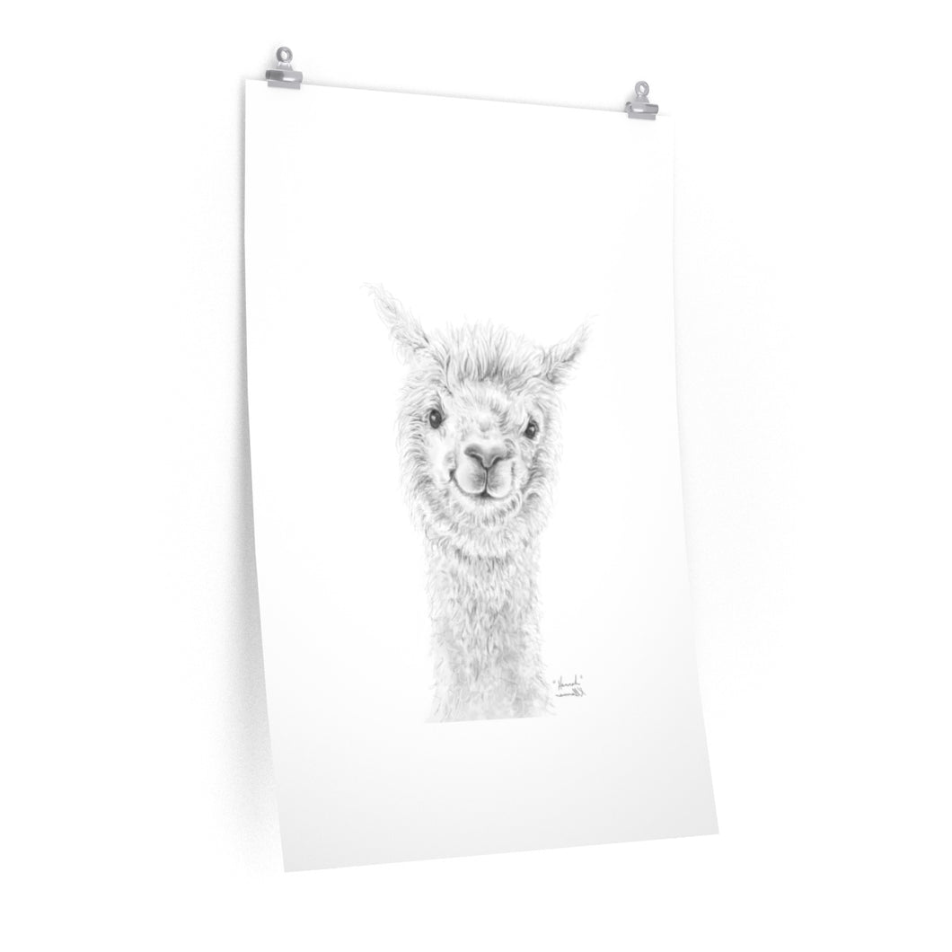 HANNAH Llama- Art Paper Print