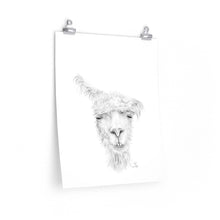 KIP Llama- Art Paper Print