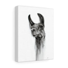 LORRY Llama - Art Canvas