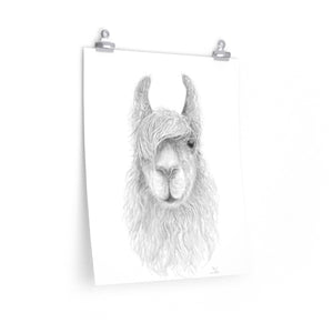 CHRIS Llama- Art Paper Print