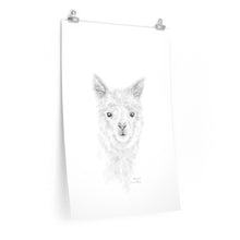 ALARIA Llama- Art Paper Print