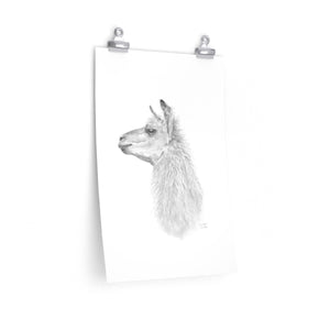 JUAN PABLO Llama- Art Paper Print