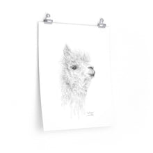 GIULIANA Llama- Art Paper Print