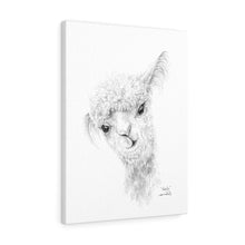 NATALIA Llama - Art Canvas