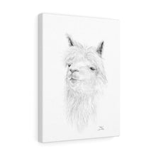 ASHA llama- Art Canvas