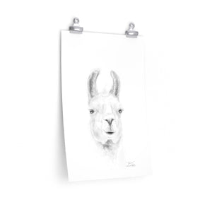 BROWN Llama- Art Paper Print