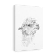 GWEN Llama - Art Canvas