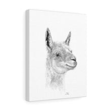TATUM - Llama Canvas