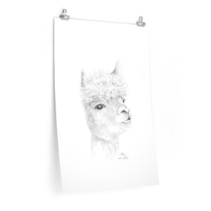 MARC Llama- Art Paper Print