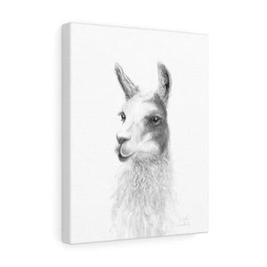 KRISTA Llama - Art Canvas