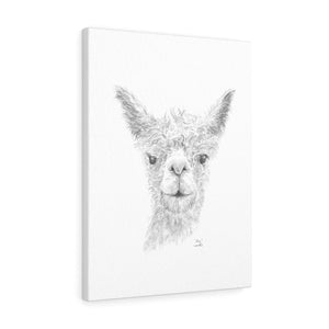 Alex Llama - Art Canvas