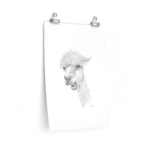 TYLER Llama- Art Paper Print