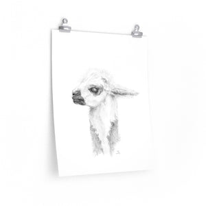 DEBI Llama- Art Paper Print