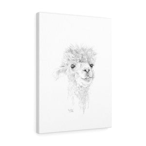 CANDICE Llama - Art Canvas
