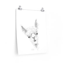 CHRISTINA Llama- Art Paper Print