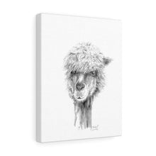 MICHAEL Llama - Art Canvas