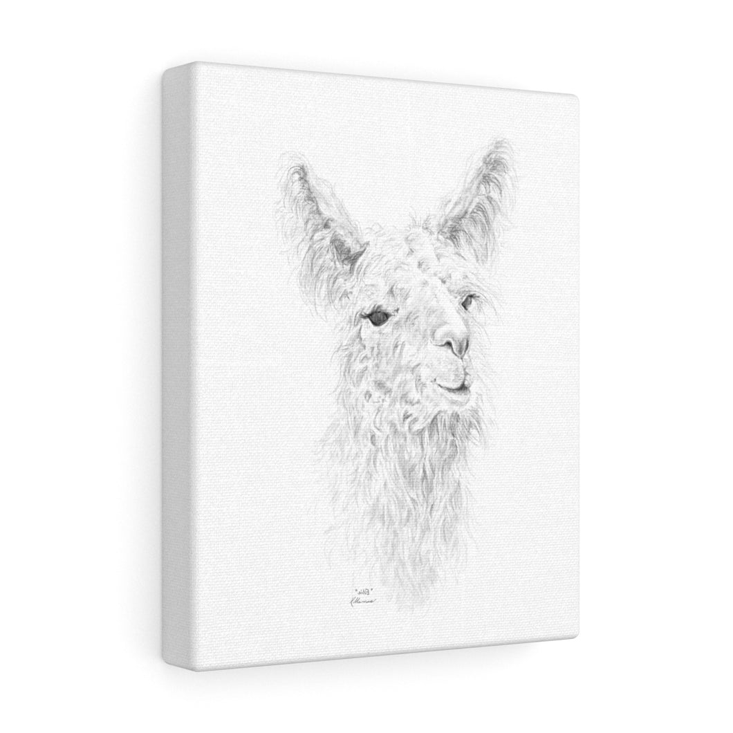 ELLIE Llama - Art Canvas