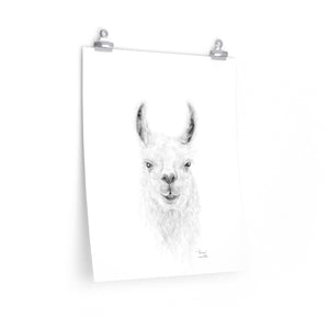 THOMAS Llama- Art Paper Print