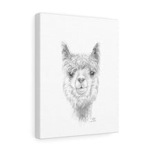 KELLEA Llama - Art Canvas