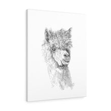 CASSIDY Llama - Art Canvas