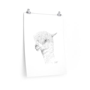 TIMOTHY Llama- Art Paper Print