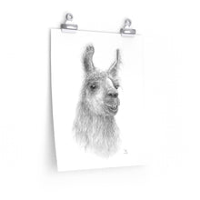 Copy of BILLIE-JO Llama- Art Paper Print
