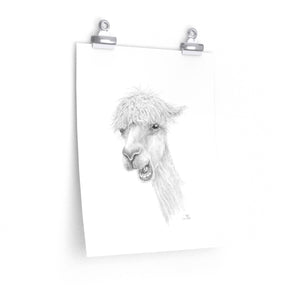 TYLER Llama- Art Paper Print