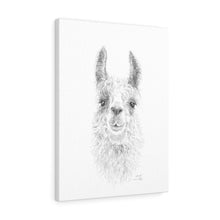 SARAH Llama - Art Canvas