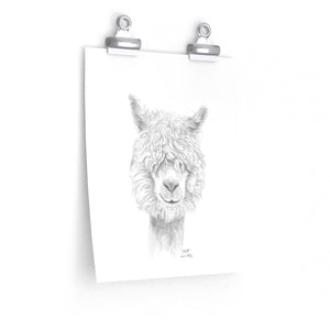 MATT Llama- Art Paper Print
