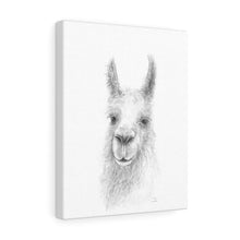 TREX Llama - Art Canvas