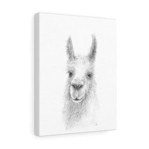 TREX Llama - Art Canvas