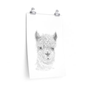 BARTHOLOMEW Llama- Art Paper Print