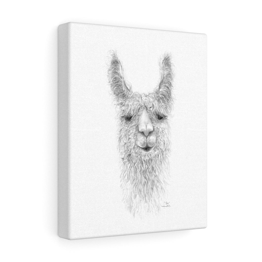 LEA Llama - Art Canvas