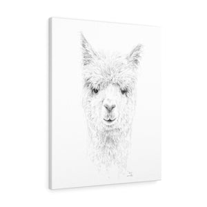 DOUG Llama - Art Canvas