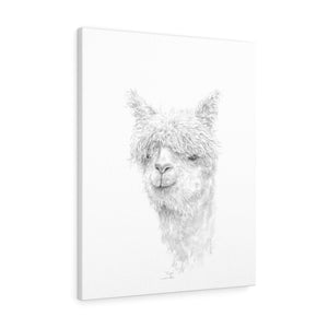 PRIYA Llama - Art Canvas