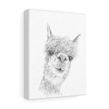 KENLEY Llama - Art Canvas