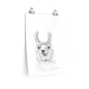DENNIS Llama- Art Paper Print
