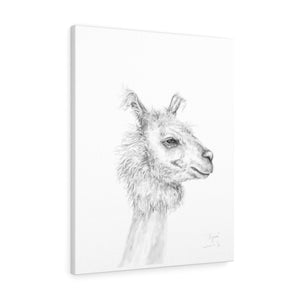 RYAN Llama - Art Canvas