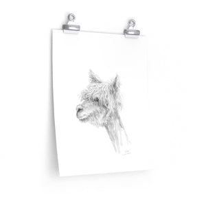 SELAH Llama- Art Paper Print